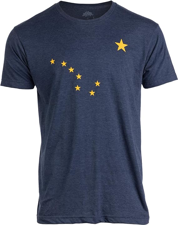 Alaskan Flag | Alaska Pride Northern Lights Big Dipper Polaris T-Shirt - Men's/Unisex