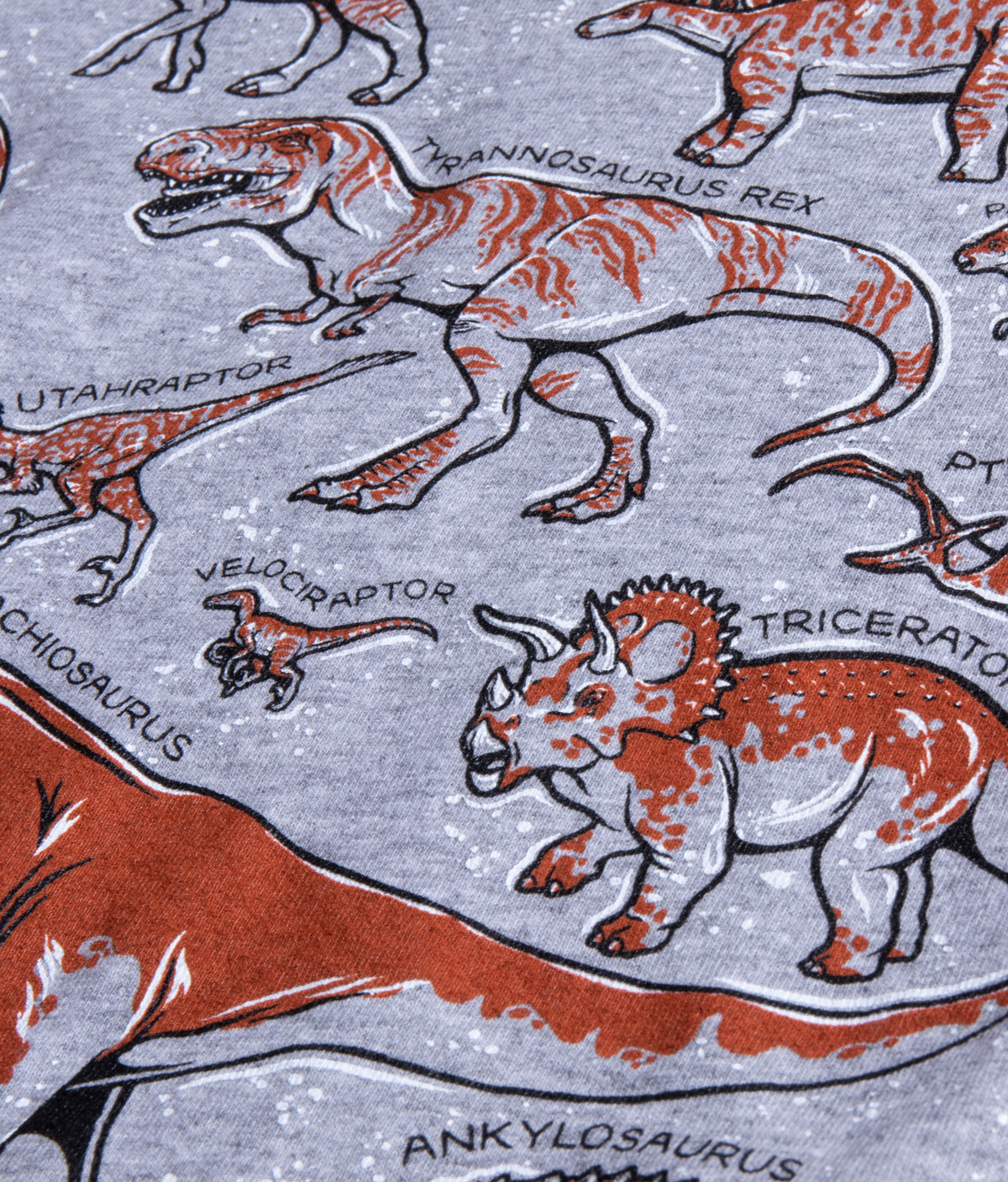 Dinosaur Species | Cool Dino Fan T-rex Raptor Boy Girl Party Child Kid's T-shirt